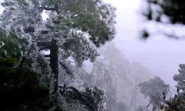 南丹:经营主体增至1.72万家